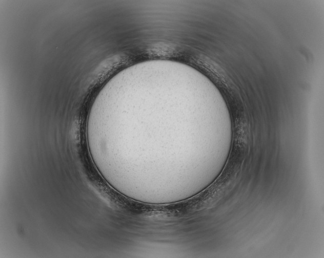 X0000113260738200910011407