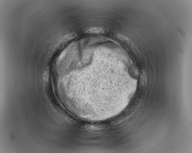 X0000113260739200910011407