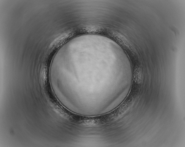 X0000113260740200910011407