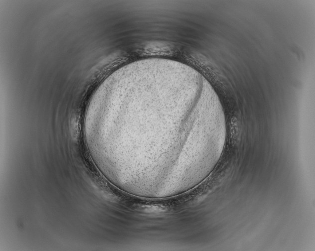 X0000113260741200910011407