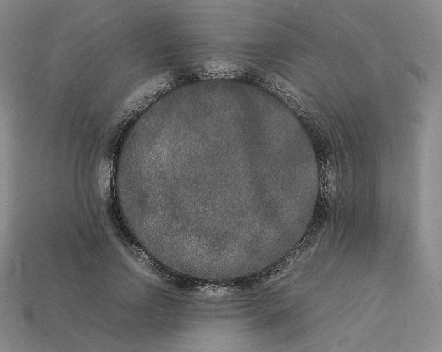 X0000113260742200910011407