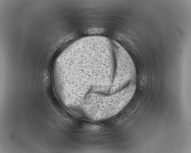 X0000113260743200910011407