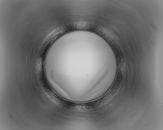 X0000113260744200910011407