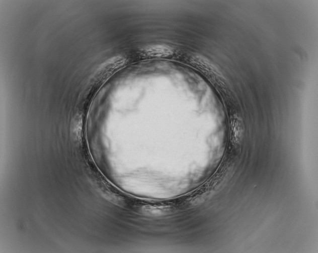 X0000113260745200910011407