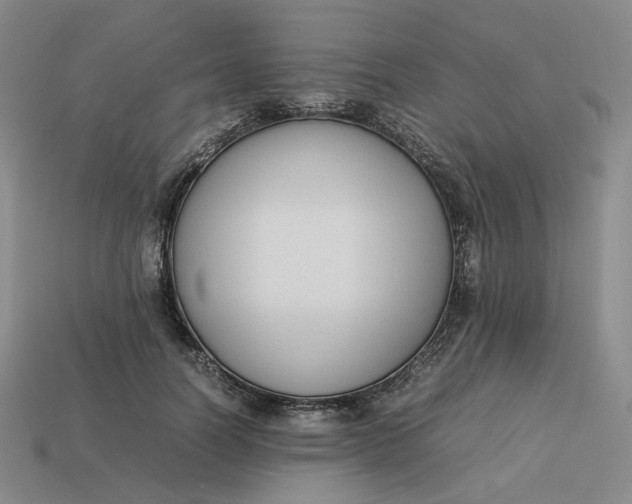 X0000113260746200910011407