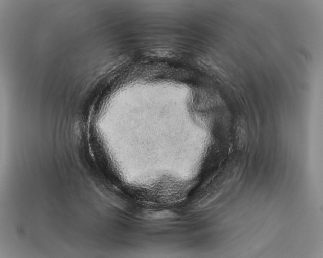 X0000113260747200910011407