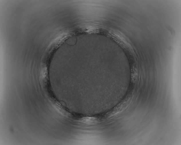 X0000113260748200910011407