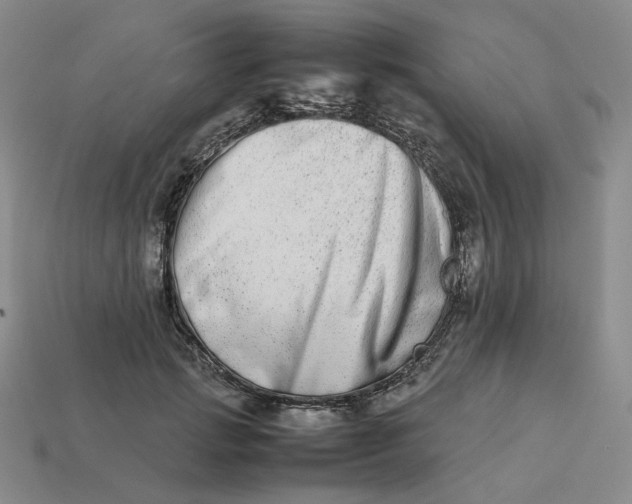 X0000113260749200910011407