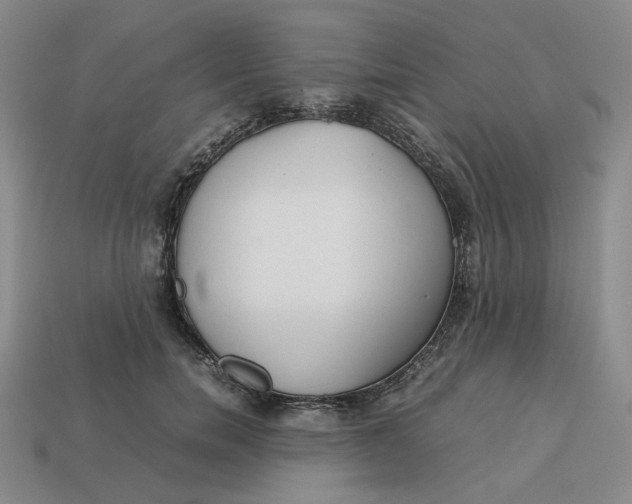 X0000113260750200910011407