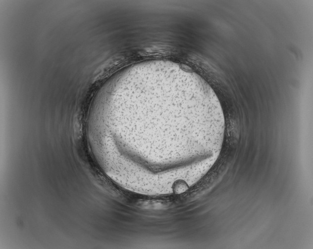 X0000113260751200910011407