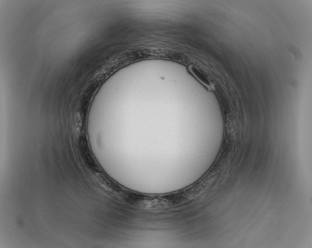 X0000113260752200910011407