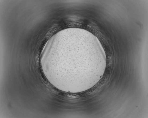 X0000113260753200910011407