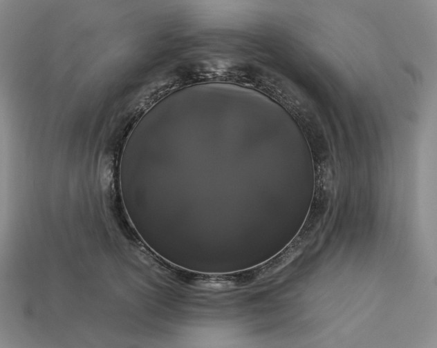 X0000113260754200910011407