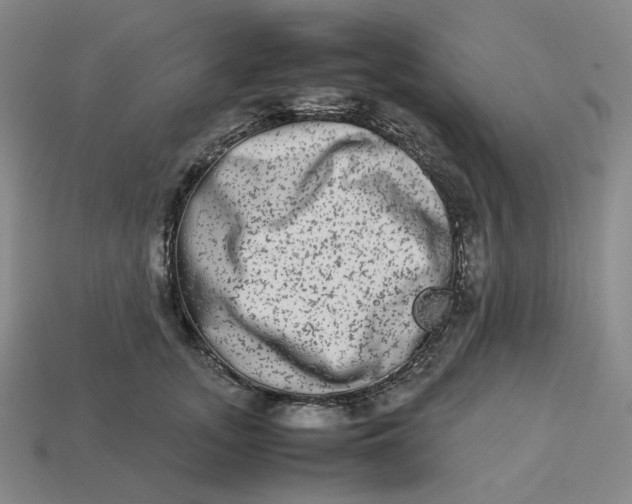 X0000113260755200910011407