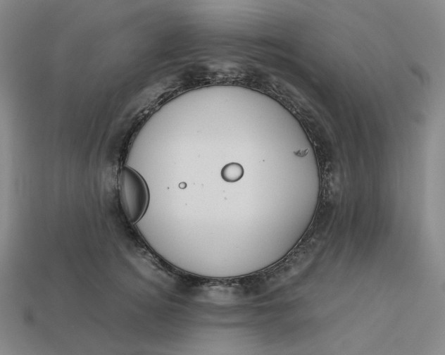 X0000113260756200910011407