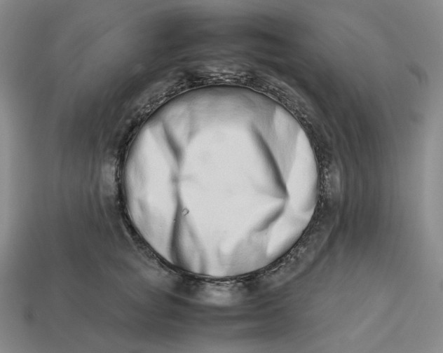 X0000113260757200910011407