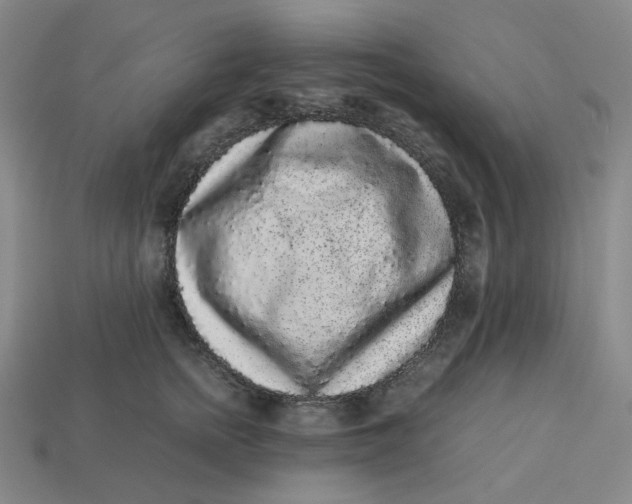 X0000113260758200910011407