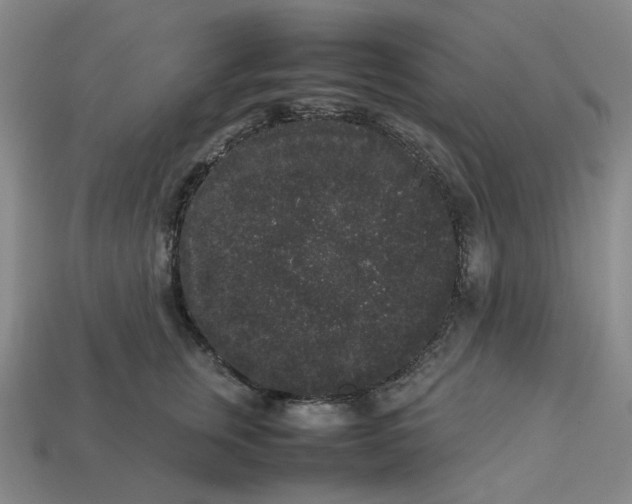 X0000113260759200910011407