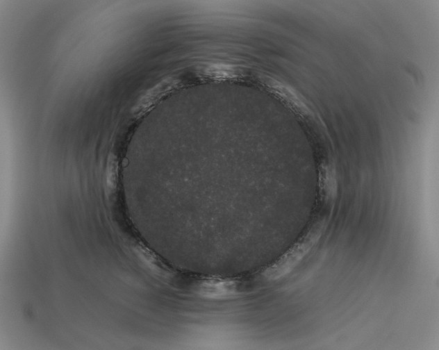 X0000113260760200910011407