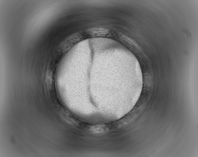 X0000113260761200910011407