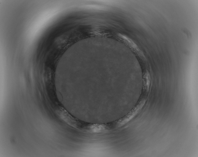 X0000113260762200910011407