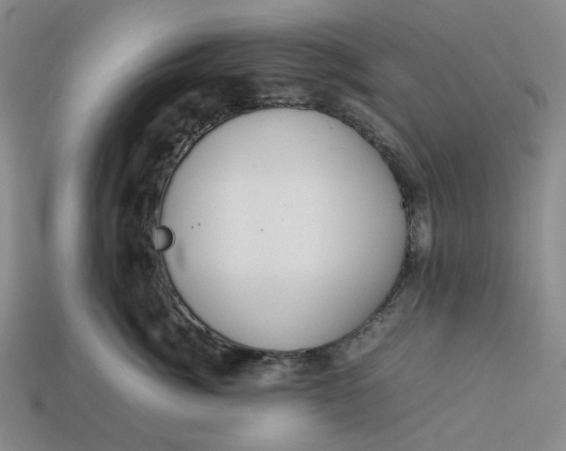 X0000113260764200910011407