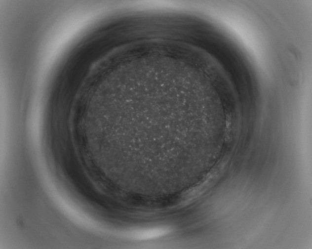 X0000113260765200910011407