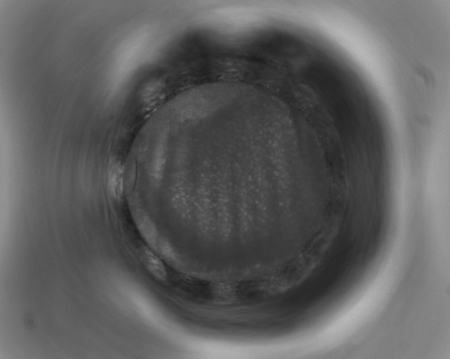 X0000113260766200910011407