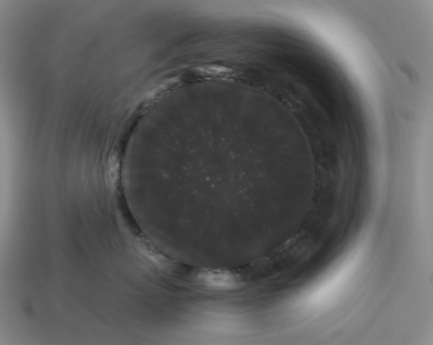 X0000113260767200910011407