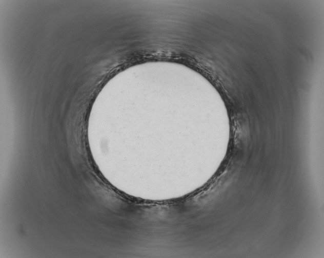 X0000113260769200910011407