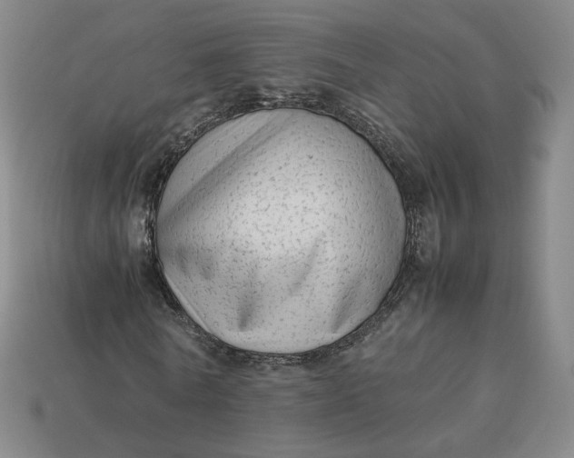 X0000113260770200910011407