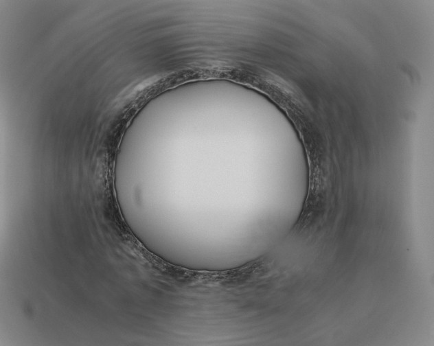 X0000113260773200910011407