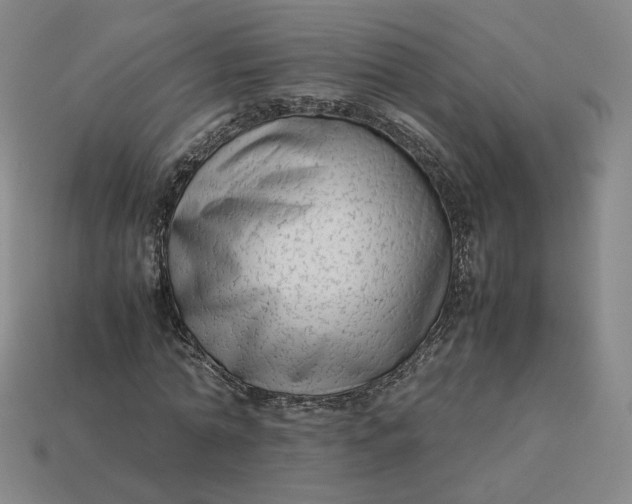 X0000113260774200910011407