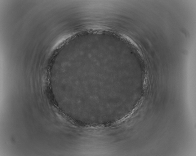 X0000113260775200910011407