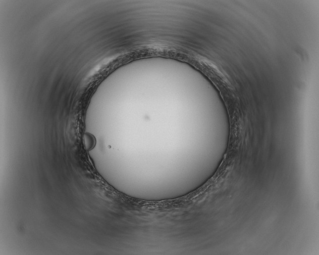 X0000113260776200910011406