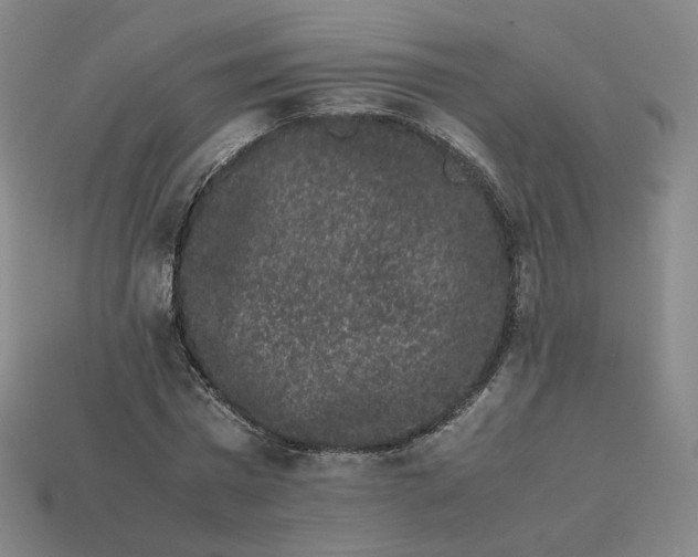 X0000113260777200910011406