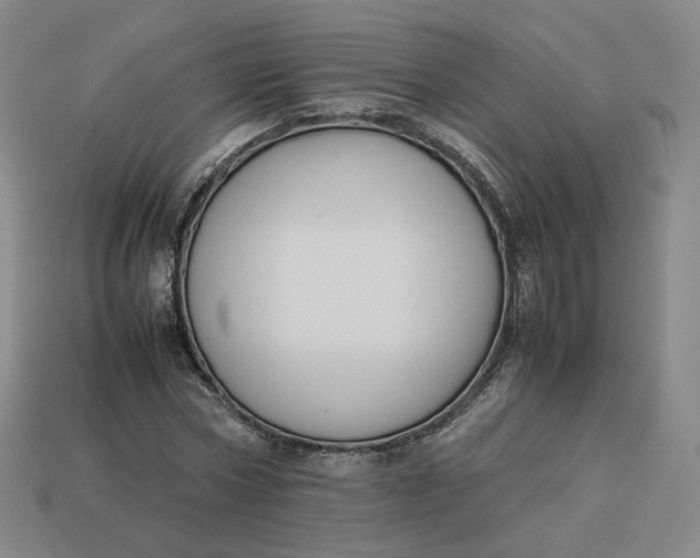 X0000113260778200910011406