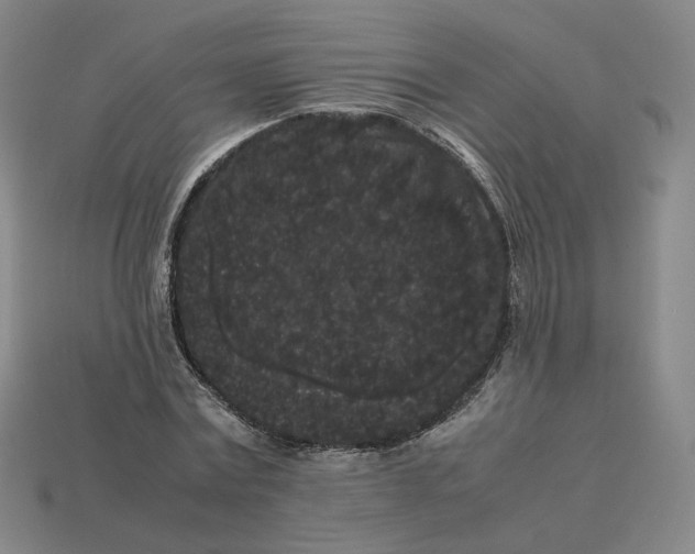 X0000113260779200910011406