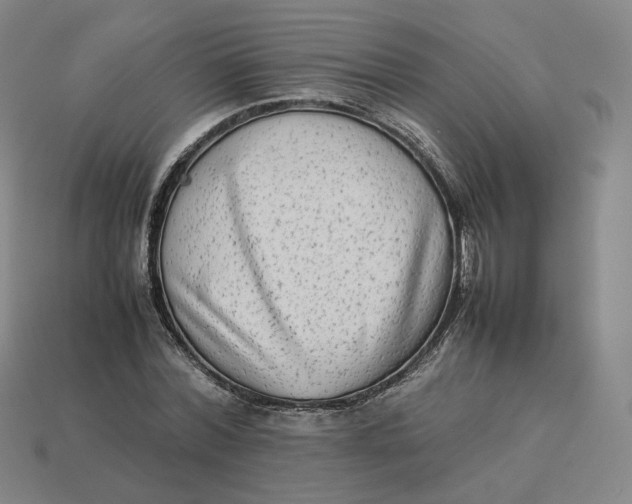 X0000113260780200910011406