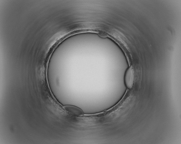 X0000113260781200910011406