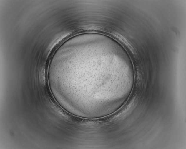 X0000113260782200910011406