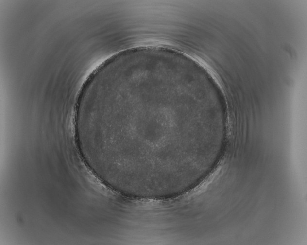 X0000113260783200910011406