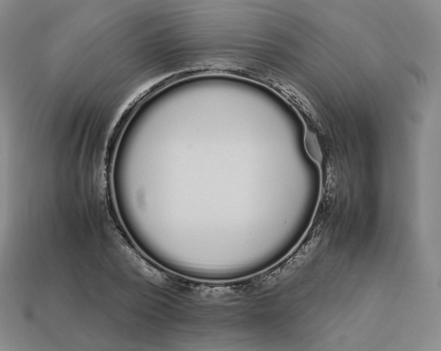 X0000113260784200910011406