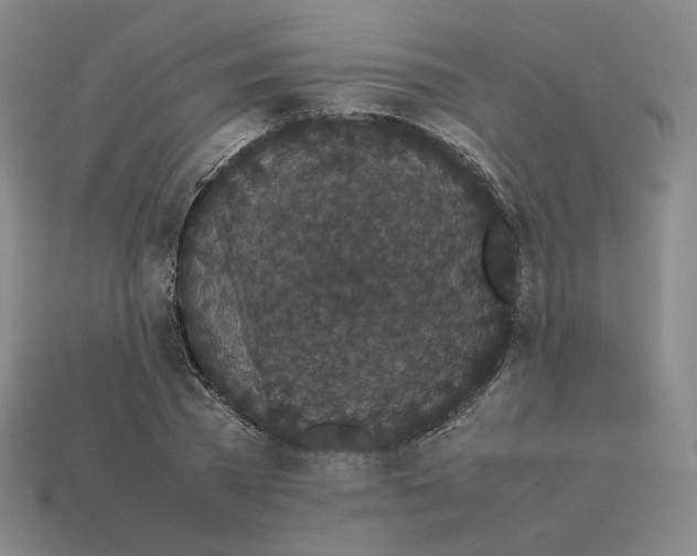 X0000113260785200910011406