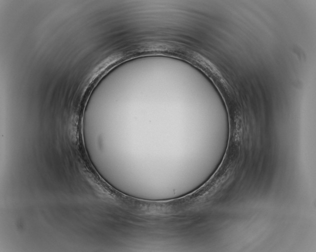 X0000113260786200910011406