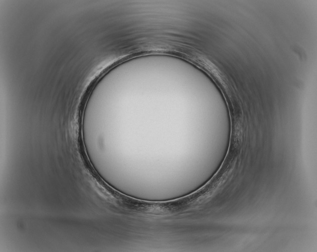 X0000113260787200910011406