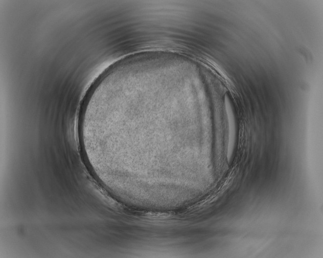 X0000113260788200910011406