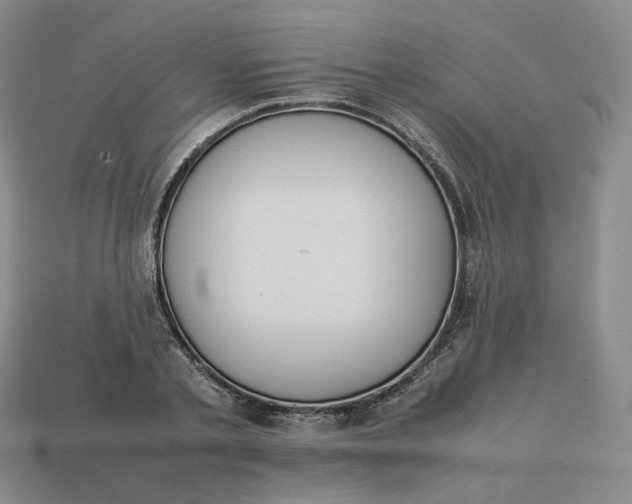 X0000113260789200910011406