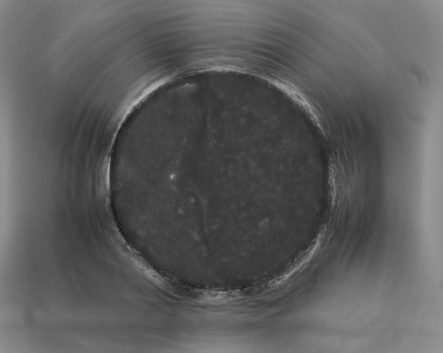 X0000113260790200910011406