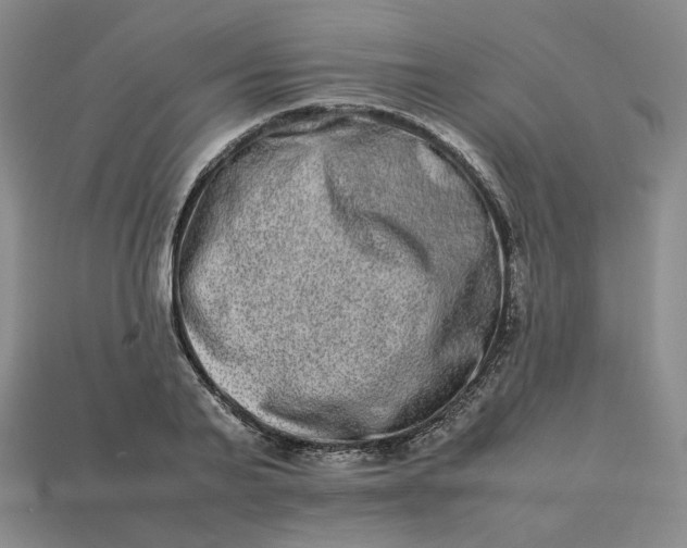 X0000113260791200910011406